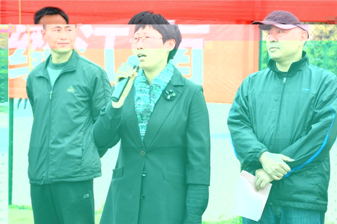 院黨委書記李佳敏宣布第四屆江南大學商學院體育文化藝術節開幕